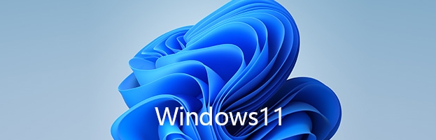 远航技术 Windows11 LTSC2024（26100.2033）2024.10.10
